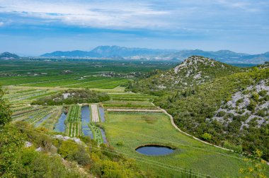Hırvatistan 'daki Neretva Nehri' nin Çarpıcı Tarım Manzaraları ve Bereketli Arazileri - Doğal Güzellik, Tarım ve Zengin Manzaraları Vurguluyor