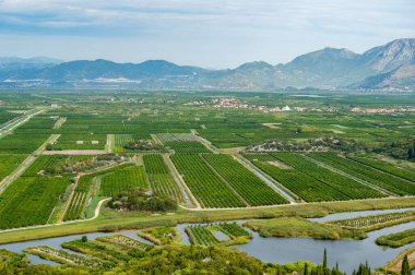Hırvatistan 'daki Neretva Nehri' nin Çarpıcı Tarım Manzaraları ve Bereketli Arazileri - Doğal Güzellik, Tarım ve Zengin Manzaraları Vurguluyor