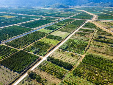 Hırvatistan 'ın güneyindeki verimli Neretva Vadisi' nin hava panoramik manzarası sulak bahçeler, kırsal yollar, kanal ağları ve açık yaz gökyüzü altındaki uzak sıradağları gösteriyor