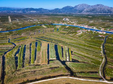 Hırvatistan 'ın güneyindeki verimli Neretva Vadisi' nin hava panoramik manzarası sulak bahçeler, kırsal yollar, kanal ağları ve açık yaz gökyüzü altındaki uzak sıradağları gösteriyor