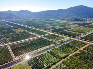 Hırvatistan 'ın güneyindeki verimli Neretva Vadisi' nin hava panoramik manzarası sulak bahçeler, kırsal yollar, kanal ağları ve açık yaz gökyüzü altındaki uzak sıradağları gösteriyor