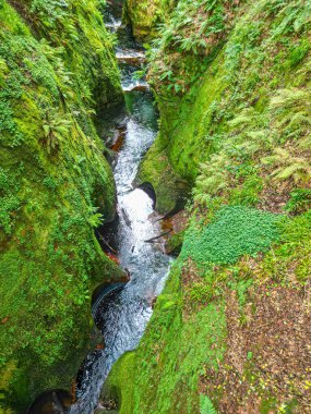 Finnich Glen ve İskoçya 'daki Finnich Vadisi' ndeki Şeytan Kürsüsü.