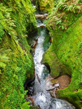 Finnich Glen ve İskoçya 'daki Finnich Vadisi' ndeki Şeytan Kürsüsü.