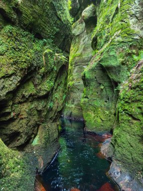 Finnich Glen ve İskoçya 'daki Finnich Vadisi' ndeki Şeytan Kürsüsü.