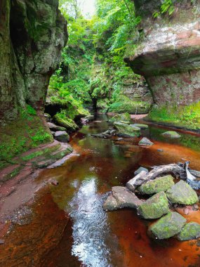 Finnich Glen ve İskoçya 'daki Finnich Vadisi' ndeki Şeytan Kürsüsü.