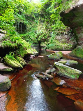 Finnich Glen ve İskoçya 'daki Finnich Vadisi' ndeki Şeytan Kürsüsü.