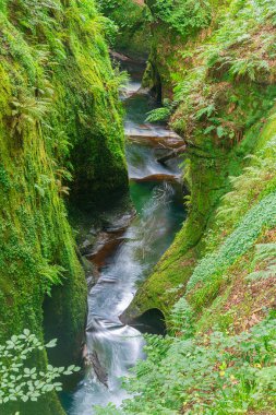 Finnich Glen ve İskoçya 'daki Finnich Vadisi' ndeki Şeytan Kürsüsü.