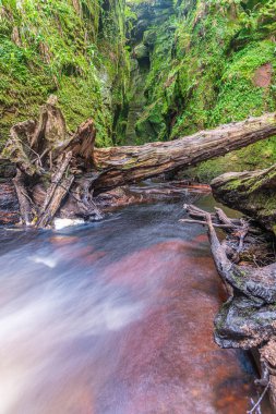 Finnich Glen ve İskoçya 'daki Finnich Vadisi' ndeki Şeytan Kürsüsü.