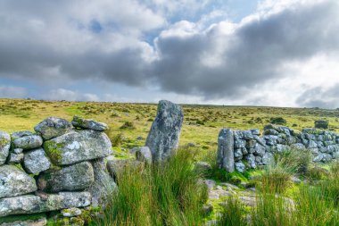 Dartmoor Milli Parkı Devon İngiltere'de İngiltere'de Avrupa'nın Bellever Tor