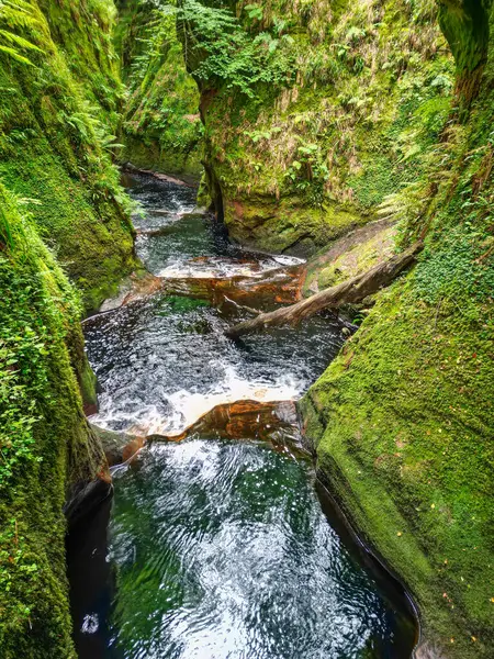 Finnich Glen ve İskoçya 'daki Finnich Vadisi' ndeki Şeytan Kürsüsü.