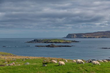 scotlands çarpıcı Kuzey Atlantik plajları kuzeybatısında İskoç dağlık bölgelerde bulunan durness Sango defne kumsalda