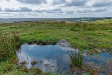 Çevresi belstone Tor Dartmoor Milli Parkı'nda, Devon, İngiltere