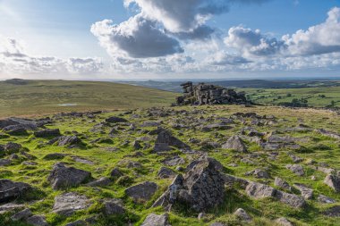 Great Staple Tor Dartmoor Ulusal Parkı Devon, İngiltere