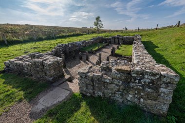 Mithras Tapınağı, İngiltere, Northumberland 'daki Carrawburgh' da Hadrian Duvarı 'nın yanında.