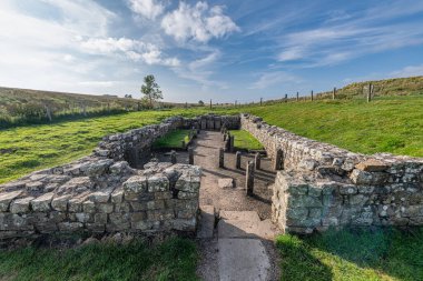 Mithras Tapınağı, İngiltere, Northumberland 'daki Carrawburgh' da Hadrian Duvarı 'nın yanında.