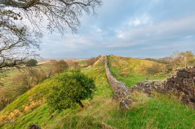 Northumberland, İngiltere 'deki Yukarı Denton' da Hadrian Duvarı 'nın bir bölümü.