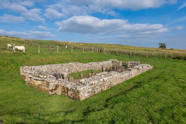 Northumberland, İngiltere 'deki Yukarı Denton' da Hadrian Duvarı 'nın bir bölümü.