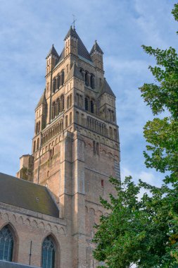 St.'ın SalvatorKatedrali Bruges, Belçika