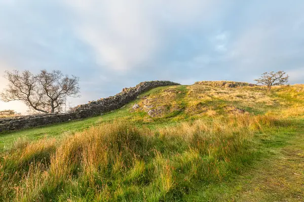 Northumberland, İngiltere 'deki Yukarı Denton' da Hadrian Duvarı 'nın bir bölümü.