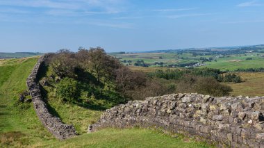 Northumberland, İngiltere 'deki Yukarı Denton' da Hadrian Duvarı 'nın bir bölümü.