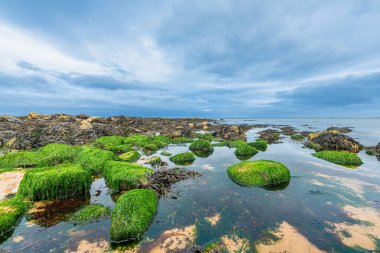 Kintyre Mull 'da Sahilde Gün Doğumu