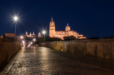 Salamanca Roma Köprüsü (Puente Romano de Salamanca, Puente Belediye Başkanı del Tormes), Tormes Nehri üzerinde Salamanca Katedrali 'nin arka planında antik taş yapı.