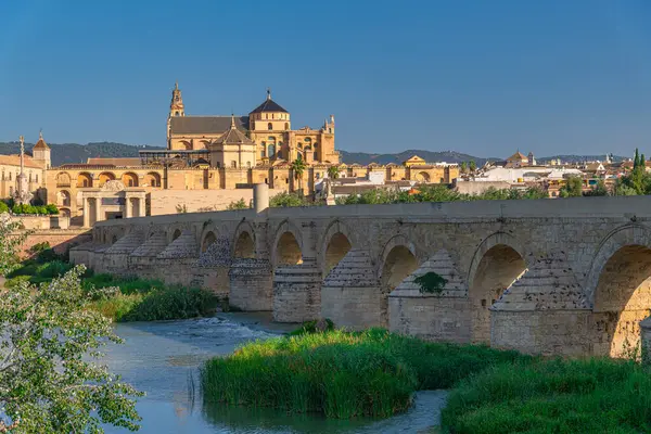 Cordoba, İspanya Endülüs Katedrali ve Roma köprüsü