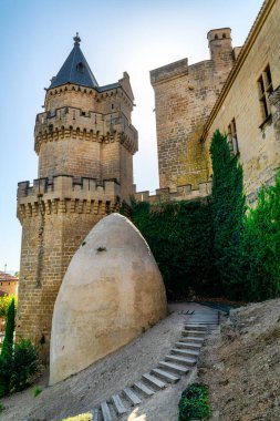 Navarre de Olite Kralları Sarayı, Olite Kraliyet Sarayı ya da Olite Kalesi 'nin sarayı sarayının bir yapısıdır.
