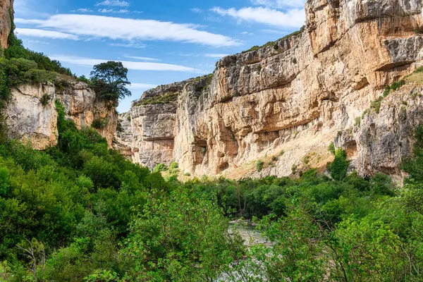 Arbayun Foz 'unun panoramik görüntüsü İspanya' nın Navarra kentindeki Salazar nehrine doğru ilerliyor. Doğal rezerv ve kuşların özel koruma alanı olarak ilan edildi..