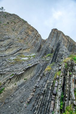 Biscay Körfezi, İspanya 'nın sineklerine bakın
