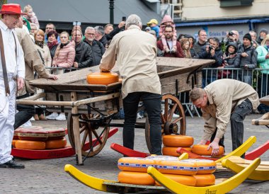 Hollanda 'nın Alkmaar kentindeki ünlü bir Hollanda peynir pazarında peynirle yürüyen taşıyıcılar. Etkinlik geleneksel olarak her hafta sonu Waagplein meydanında gerçekleştirilir..