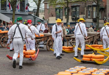 Hollanda 'nın Alkmaar kentindeki ünlü bir Hollanda peynir pazarında peynirle yürüyen taşıyıcılar. Etkinlik geleneksel olarak her hafta sonu Waagplein meydanında gerçekleştirilir..