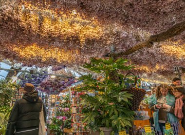 Amsterdam 'daki Çiçek Pazarı Hollanda