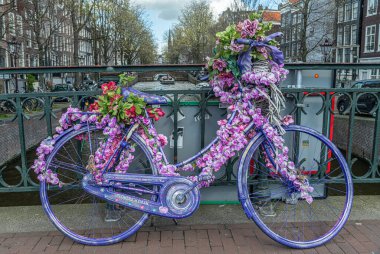 Amsterdam, Hollanda 'nın eski bir bölgesinde küçük bir köprüde pembe çiçeklerle süslenmiş eski model bir bisiklet.