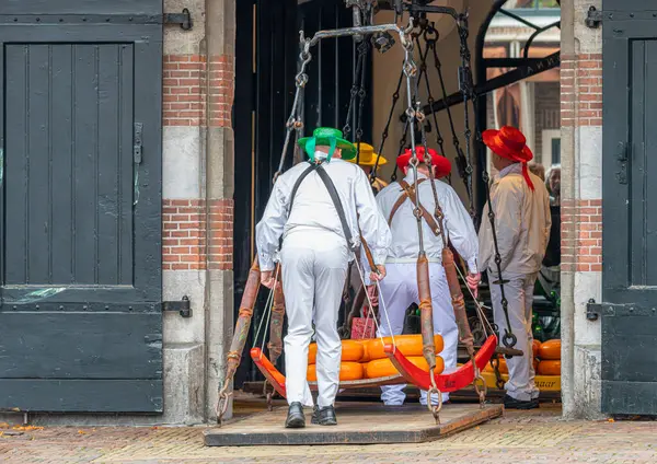 Hollanda 'nın Alkmaar kentindeki ünlü bir Hollanda peynir pazarında peynirle yürüyen taşıyıcılar. Etkinlik geleneksel olarak her hafta sonu Waagplein meydanında gerçekleştirilir..