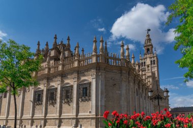 Sevilla ve Giralda Katedrali, Endülüs, İspanya
