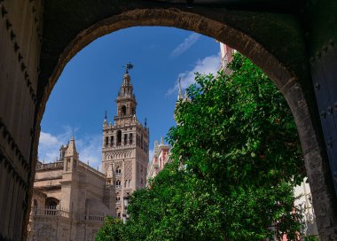 Sevilla ve Giralda Katedrali, Endülüs, İspanya
