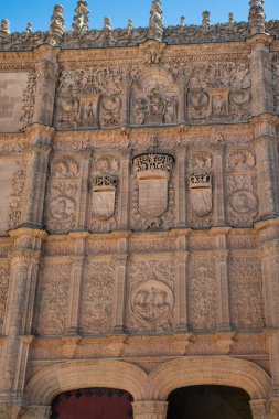 güzel manzara ünlü Üniversitesi salamanca, İspanya en eski Üniversitesi ve en eski Avrupa, Salamanca, castilla y leon bölgesi, İspanya