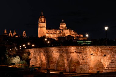 Salamanca Roma Köprüsü (Puente Romano de Salamanca, Puente Belediye Başkanı del Tormes), Tormes Nehri üzerinde Salamanca Katedrali 'nin arka planında antik taş yapı.