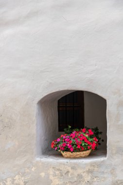 Glorenza Glurns (Bolzano, Trentino - Alto Adige, İtalya). Sabah vakti beyaz bir duvarda kırmızı çiçekli bir pencere.