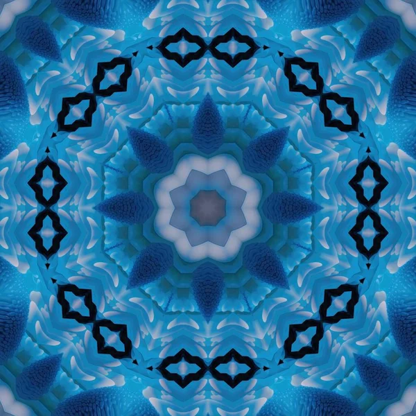 Bunga Mekar Skala Batik Dengan Warna Biru Mengkilap Kaleidoskop Tema — Stok Foto