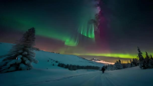 Aurora Európai Felföldön Téli Hegyek Tavak Erdők Szépség Tiszta Van — Stock videók