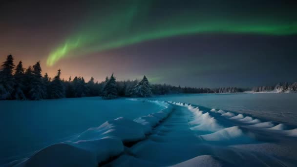 Aurora Európai Felföldön Téli Hegyek Tavak Erdők Szépség Tiszta Van — Stock videók