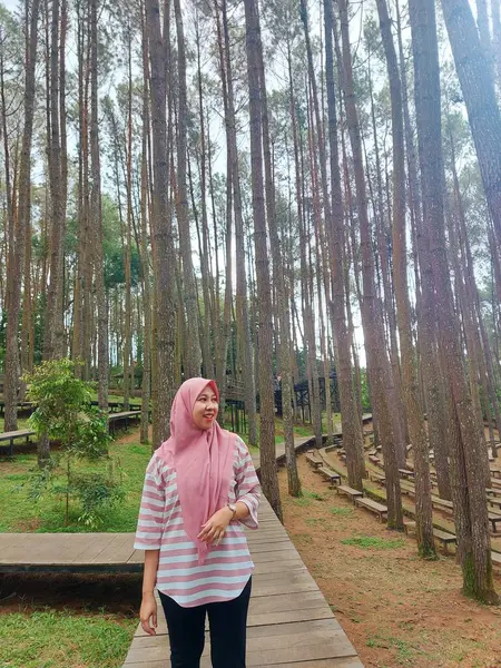 stock image A young woman is in a pine forest wearing a jacket, enjoying the exotic nature of the pine forest, unwinding during her time off from office work