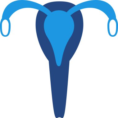 Kadın üreme sisteminin iç anatomisinin simgesi, özellikle hamilelik için en önemli olan rahim ve fallop tüpleri..