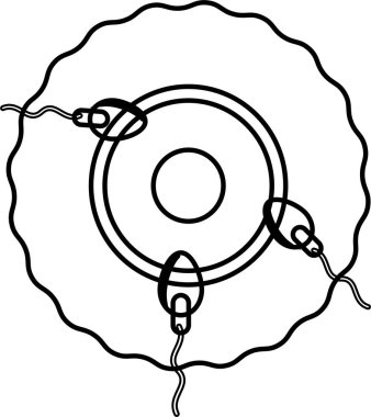 Döllenme sürecinin çizgi ikonu, yumurta hücresi ile sperm hücresi arasındaki buluşma, yaşamın başlangıcı, üreme, genetik ve embriyo kavramlarını açıklayan.