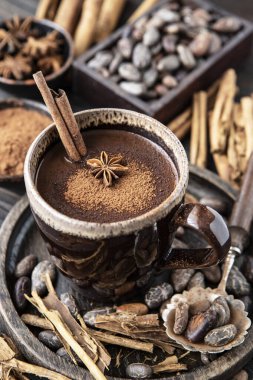 Tarçın çubuklu sıcak çikolata, ahşap arka planda anason ve kakao tozu.