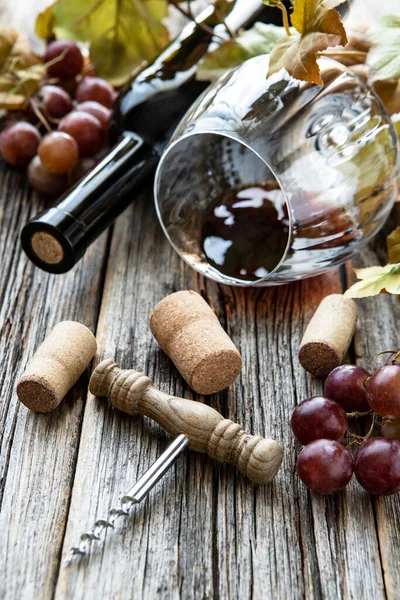 Lezzetli Üzümler Bir Bardak Kuru Kırmızı Şarap Seçici Odak Sığ — Stok fotoğraf