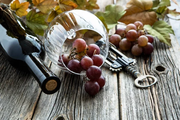 Lezzetli Üzümler Şişe Bir Bardak Kuru Kırmızı Şarap Seçici Odak — Stok fotoğraf