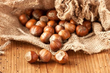 Tahta arka planda çuval içinde fındık. Bir yığın fındık. Sağlıklı gıda geçmişi